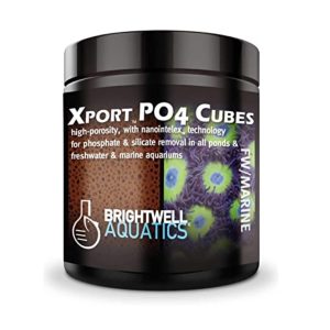 Xport Po4 Cubes 500ml Brightwell